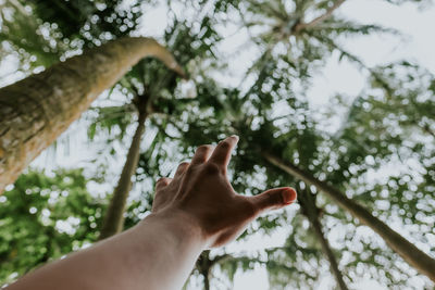 Close-up of hand on tree against sky