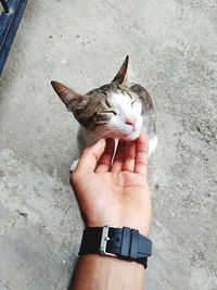 High angle view of hand holding ice cream