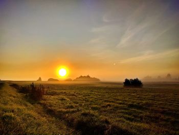 Scenic view of agricultural field against sky during sunset