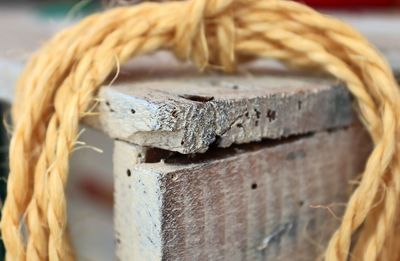 Close-up of rope tied on wood