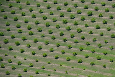 Full frame shot of patterned wall