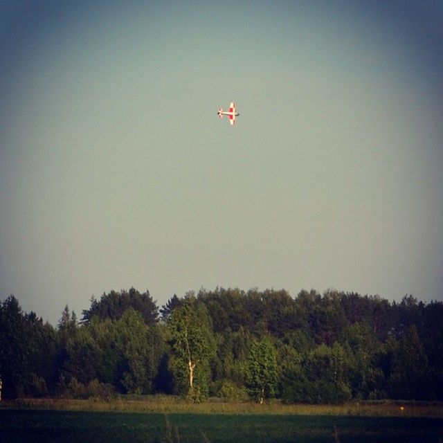 flying, mid-air, clear sky, copy space, tree, transportation, air vehicle, low angle view, mode of transport, freedom, nature, landscape, parachute, paragliding, scenics, travel, sky, airplane, hot air balloon, day