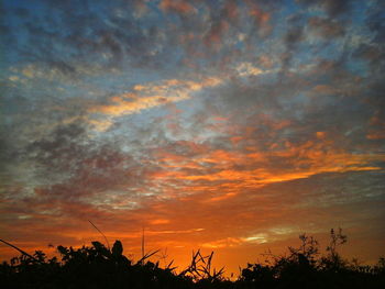 Low angle view of silhouette trees against dramatic sky