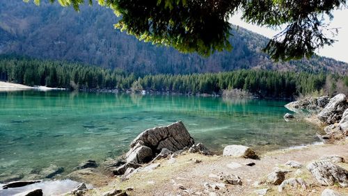 Scenic view of lake and rocks against trees