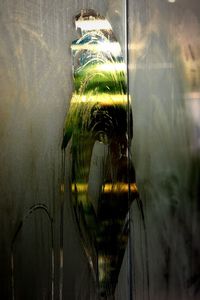 Digital composite image of a glass window