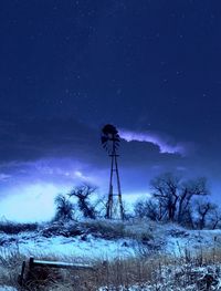 Low angle view of tree against sky at night