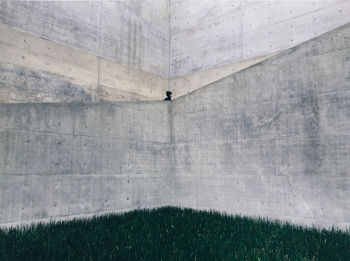 Scenic view of paving stone