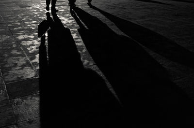 Shadow of man on silhouette tree