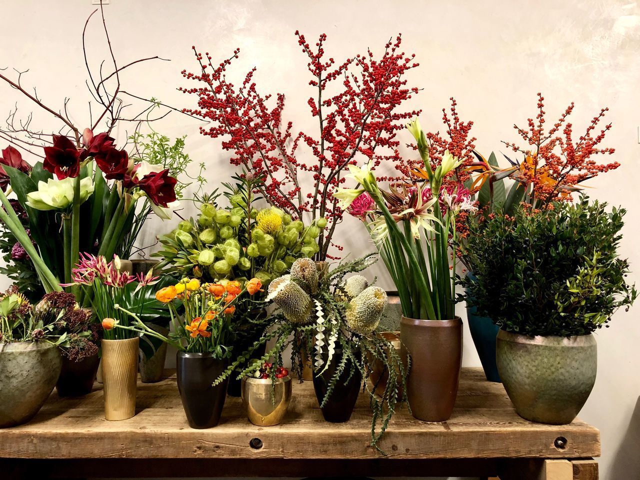 POTTED PLANTS AT FLOWER POT