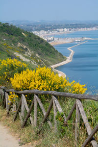 San bartolo regional park marche region - broom trees and transparent green sea water.