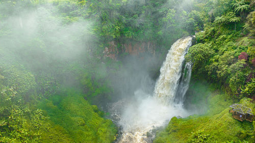 Scenic view of waterfall in forest