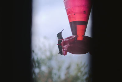 Close-up of hand holding red glass window