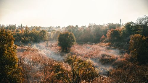 Trees on landscape against sky during autumn