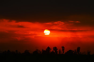 Silhouette trees on field against romantic sky at sunset