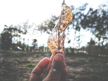 Close-up of hand holding ice cream