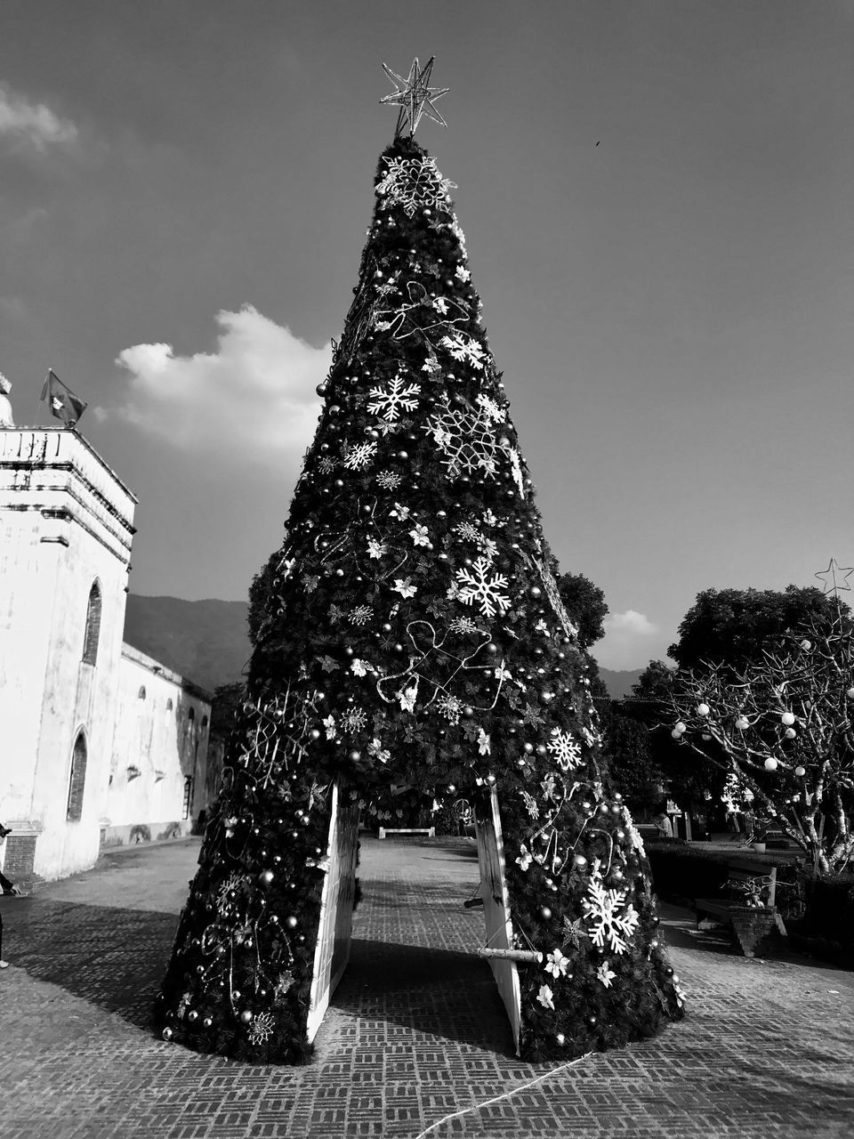 ILLUMINATED CHRISTMAS TREE AGAINST SKY