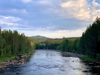 Scenic view of river amidst trees against sky