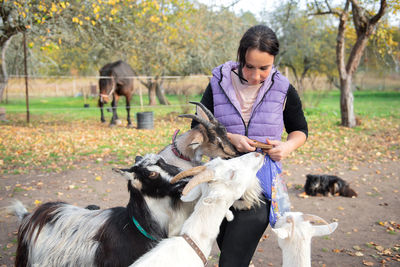 Woman feeding goats at farm
