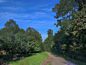 Road passing through landscape