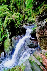 Scenic view of waterfall in forest