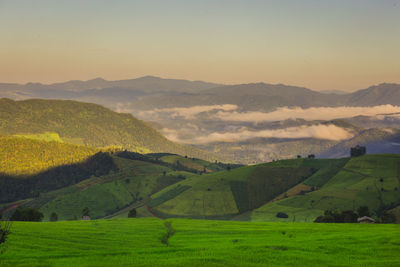 Scenic view of agricultural field against sky during sunset