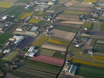 High angle view of agricultural field