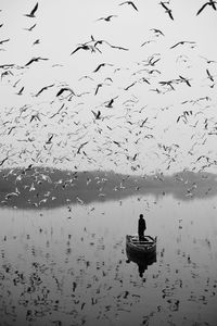 Birds flying over lake against sky