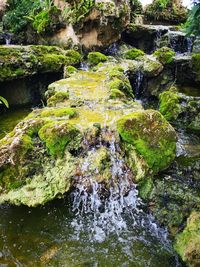Stream flowing through rocks in forest
