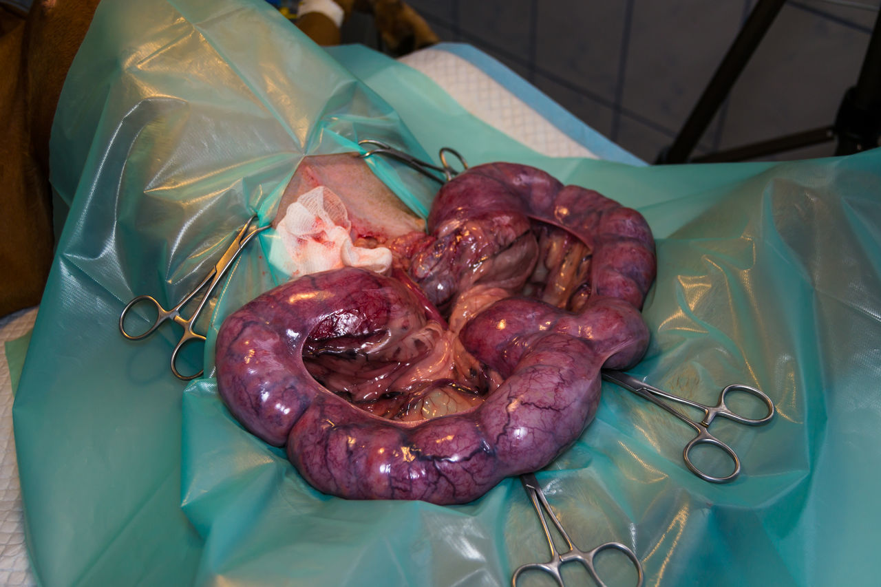 HIGH ANGLE VIEW OF MEAT IN COOKING PAN