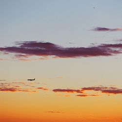 flying