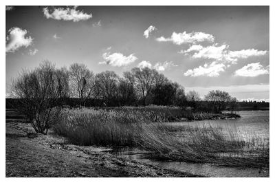 Scenic view of landscape against cloudy sky