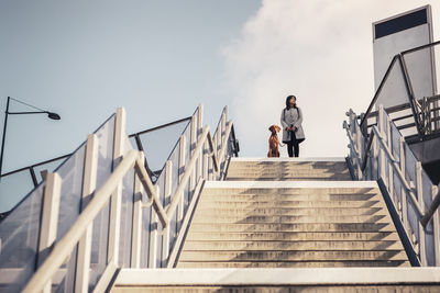 Low angle view of woman and dog standing on staircase