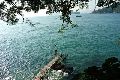 High angle view of trees by sea