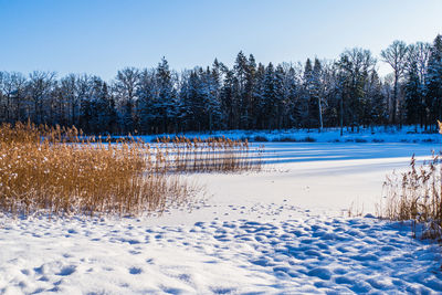 Beautiful winter snowy landscape on the lake.