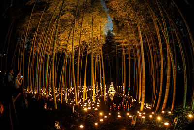 Low angle view of illuminated lights at night