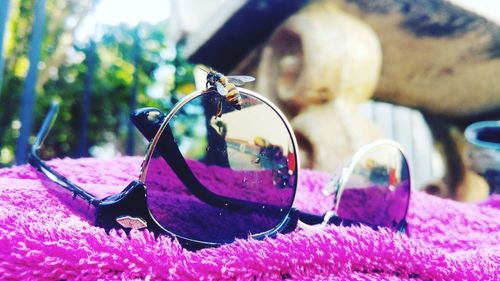 Close-up of various flowers on glass