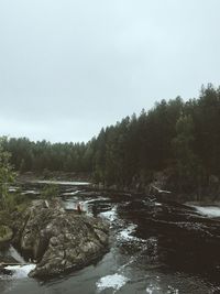 Scenic view of river amidst trees against sky