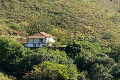 Trees and plants growing on field in front of house