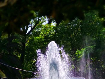Low angle view of fountain and trees