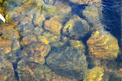 Full frame shot of water