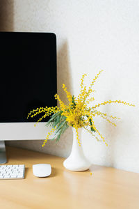 Bouquet of yellow mimosa flowers in a vase on a desktop with a computer