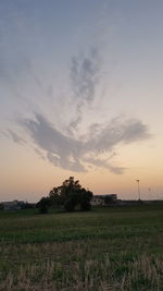 Scenic view of field against sky during sunset