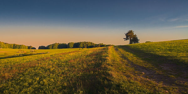 Scenic view of field against sky