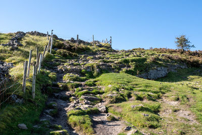 Scenic view of landscape against clear sky