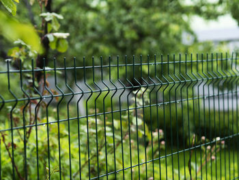 Metal mesh garden fence