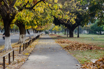 Walkway along trees in park