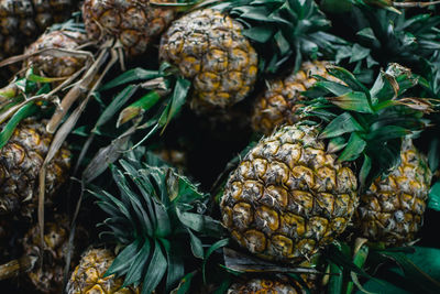 Pineapples on the market