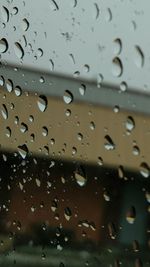 Close-up of water drops on glass