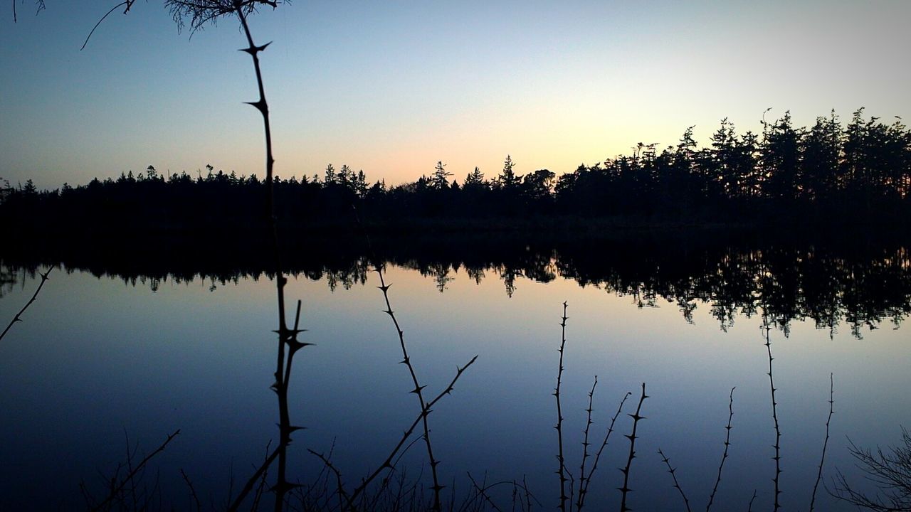 water, reflection, tranquility, silhouette, tranquil scene, sunset, lake, clear sky, scenics, beauty in nature, nature, standing water, sky, tree, idyllic, plant, growth, dusk, calm, waterfront