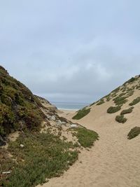Scenic view of beach against sky